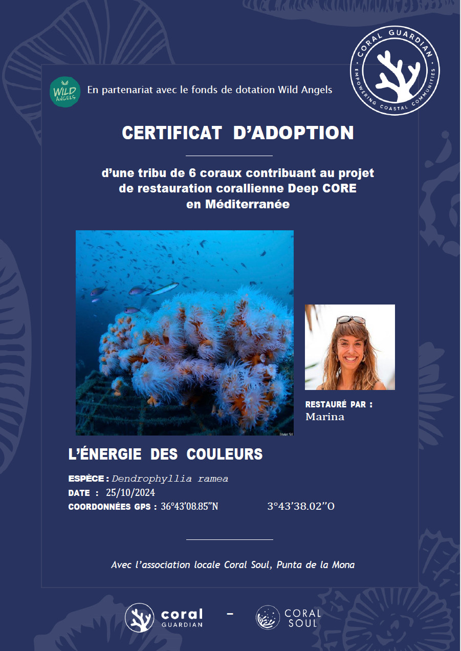 Adoption d'une tribu de coraux